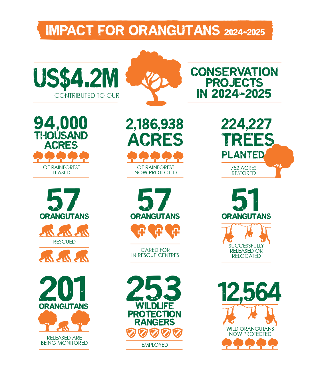 Our Impact by the Numbers